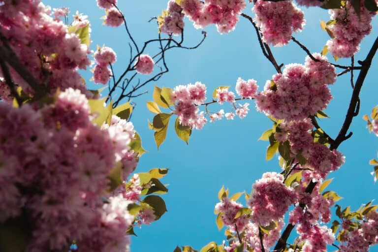 Spring 2026 Tax Update